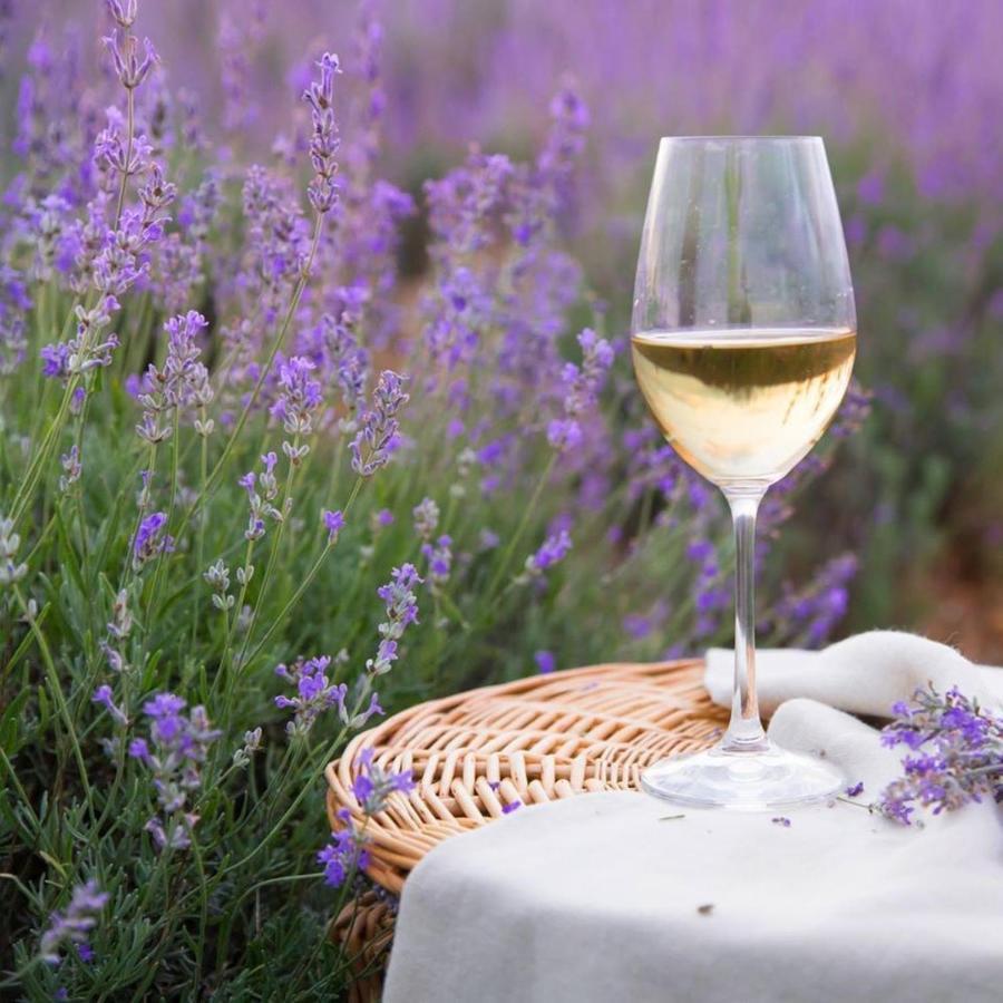 Le Mas Aux Aromes Puget Exteriör bild